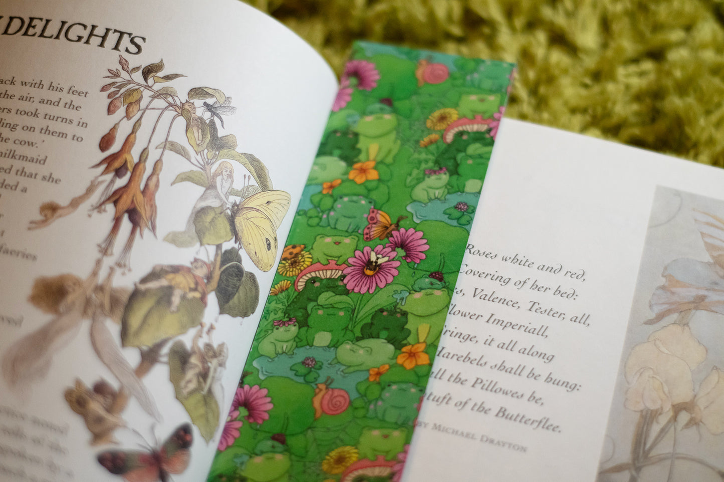 Frogs Bookmark