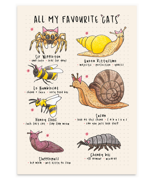 All My Favourite Cats
