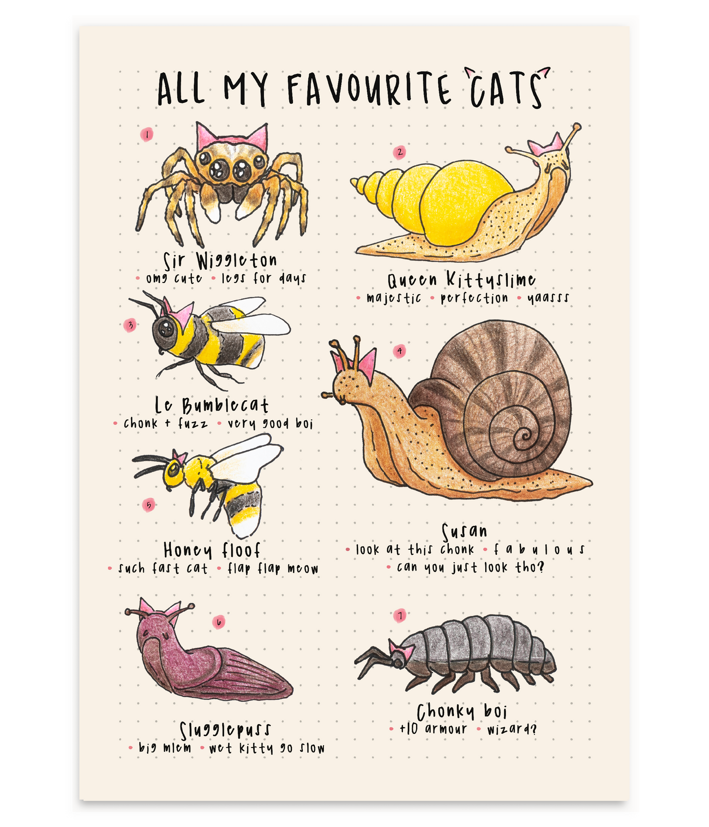 All My Favourite Cats