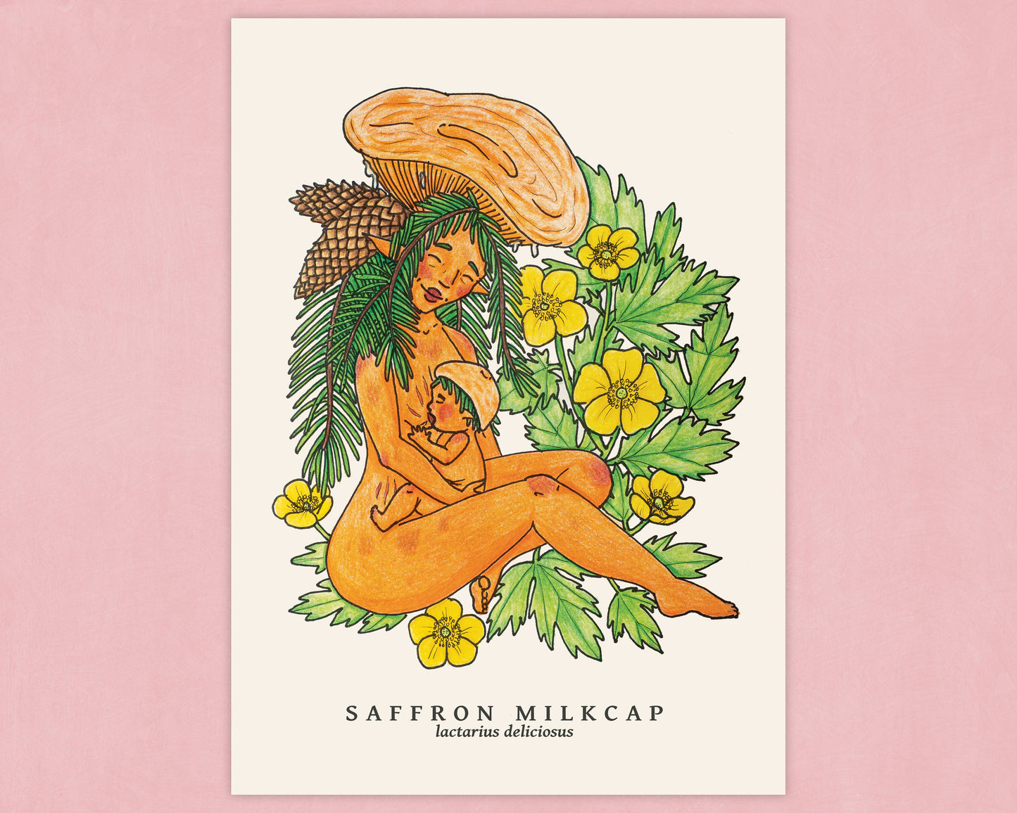 Saffron Milkcap
