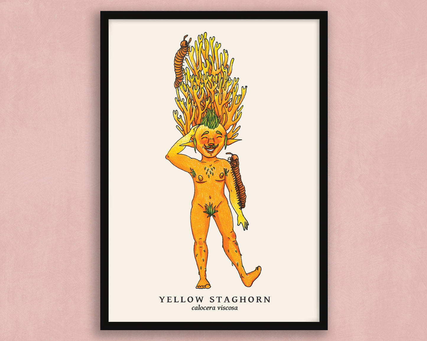 Yellow Staghorn