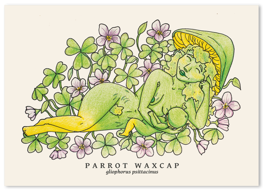 Parrot Waxcap